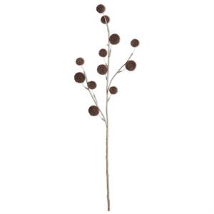 Brown Billy Ball Spray