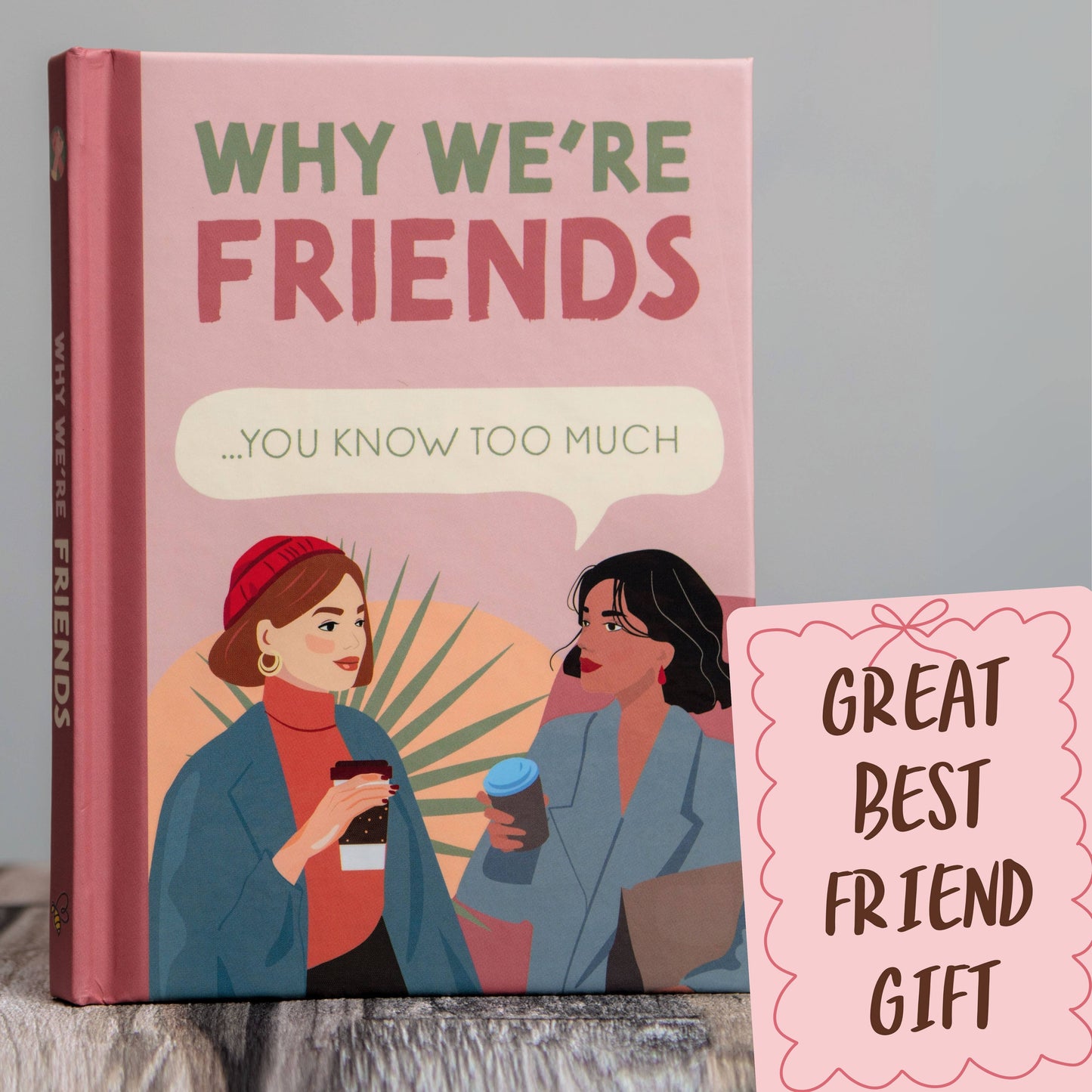 Why We're Friends Book