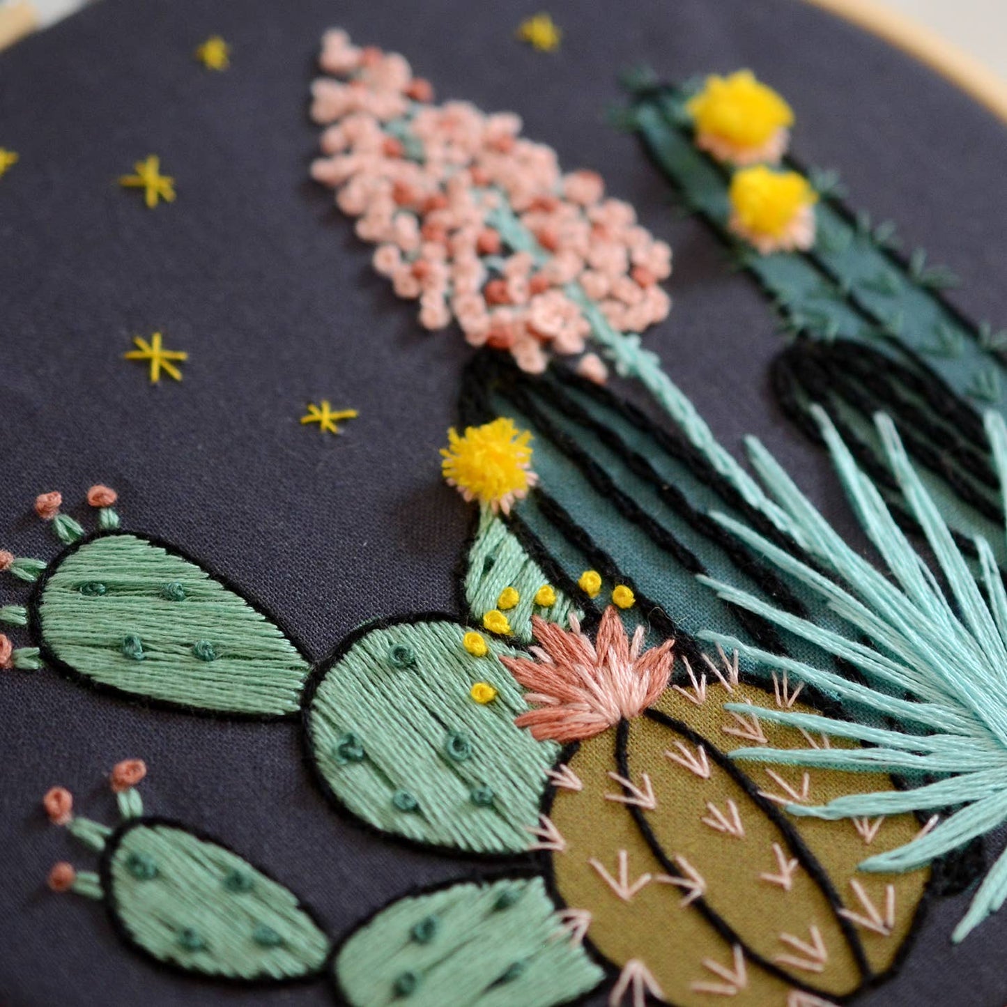 Night Cactus Embroidery Kit