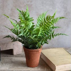 Faux Fern in Pot