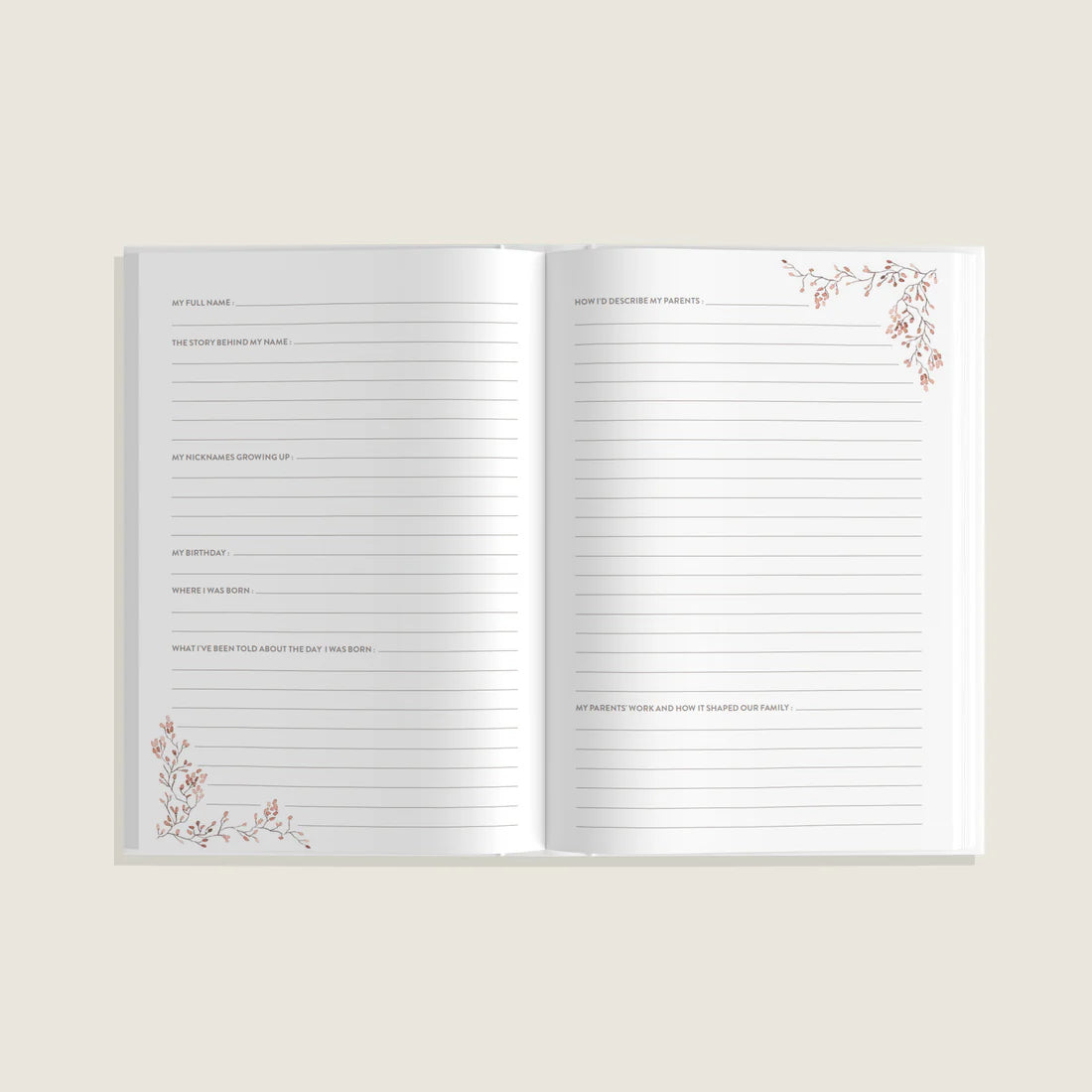 A Handwritten Legacy: Aunt's Story