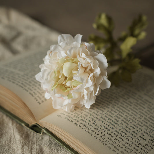 Beige Single Mum Spray