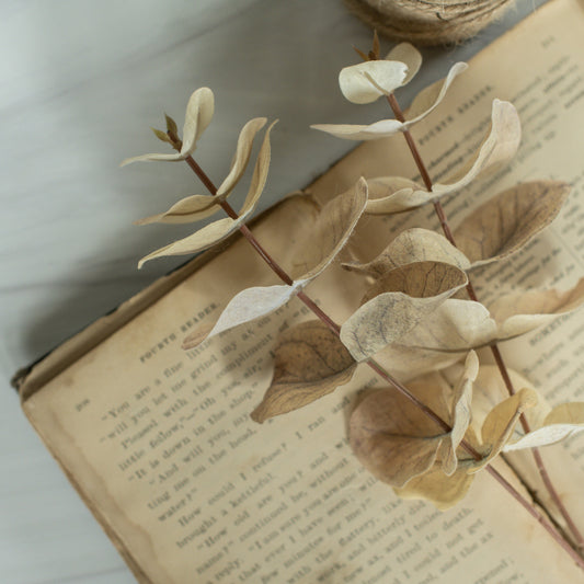 Pale Green Eucalyptus Spray