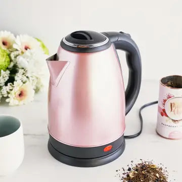 Parker Stainless Steel Electric Tea Kettle