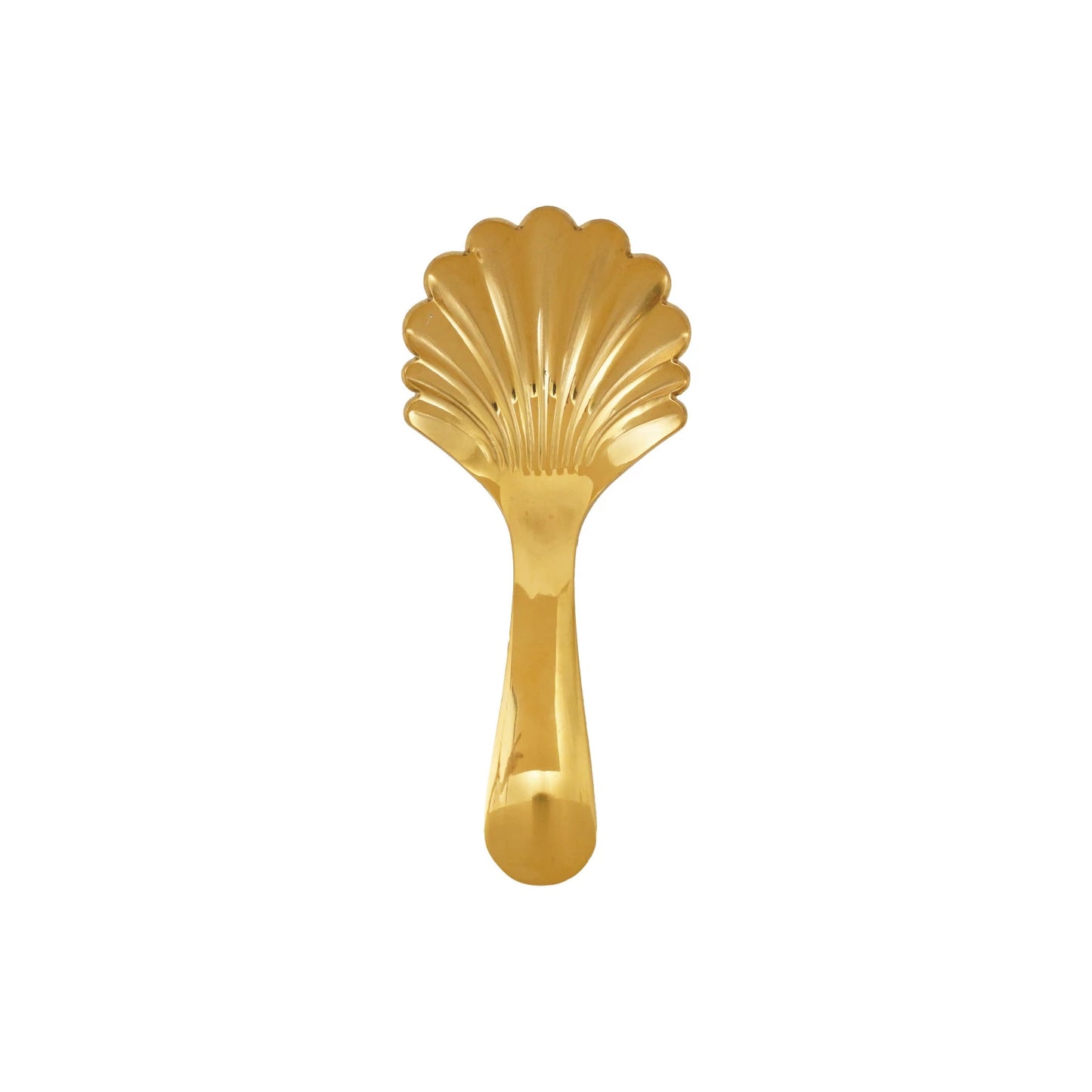 Stainless Steel Shell Spoon