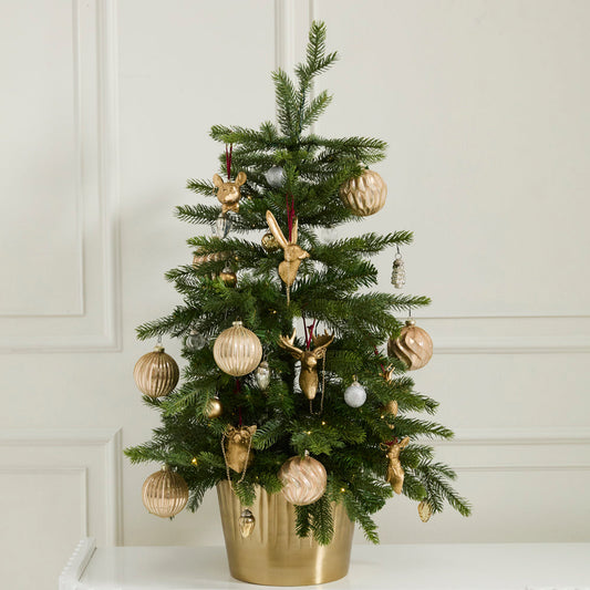 Animals w/ Glasses Ornaments