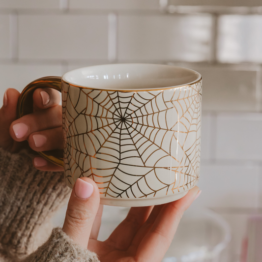 Spiderwebs Ceramic Mug