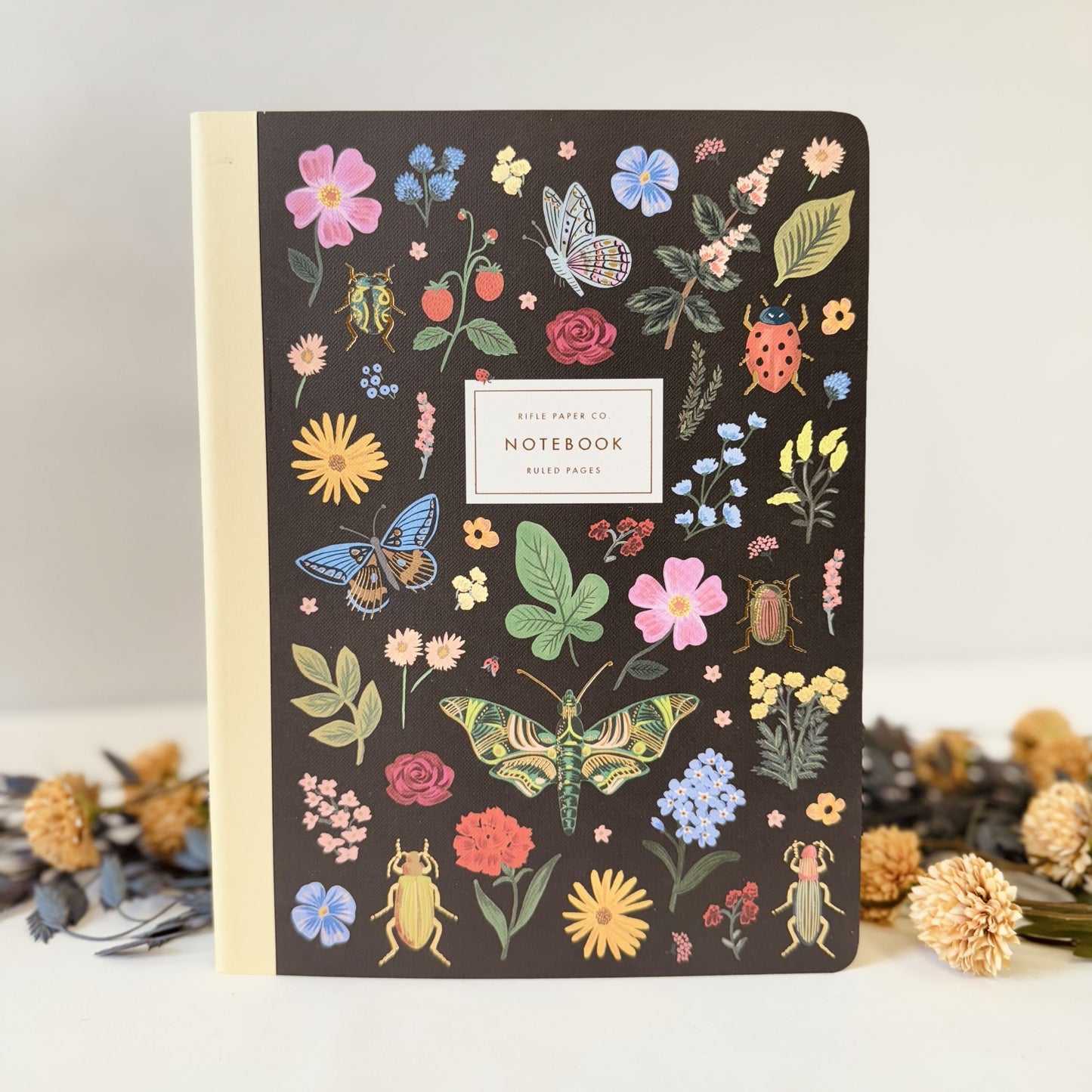 Curio Notebook