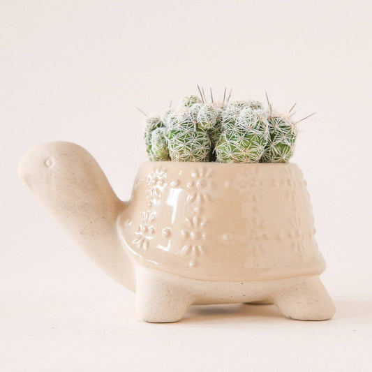 Turtle Planters