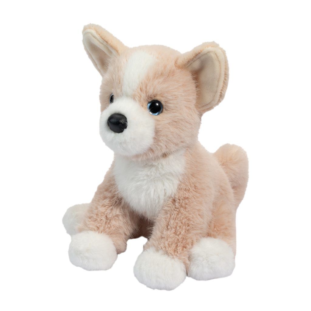 Pookie Pomsky - Mini