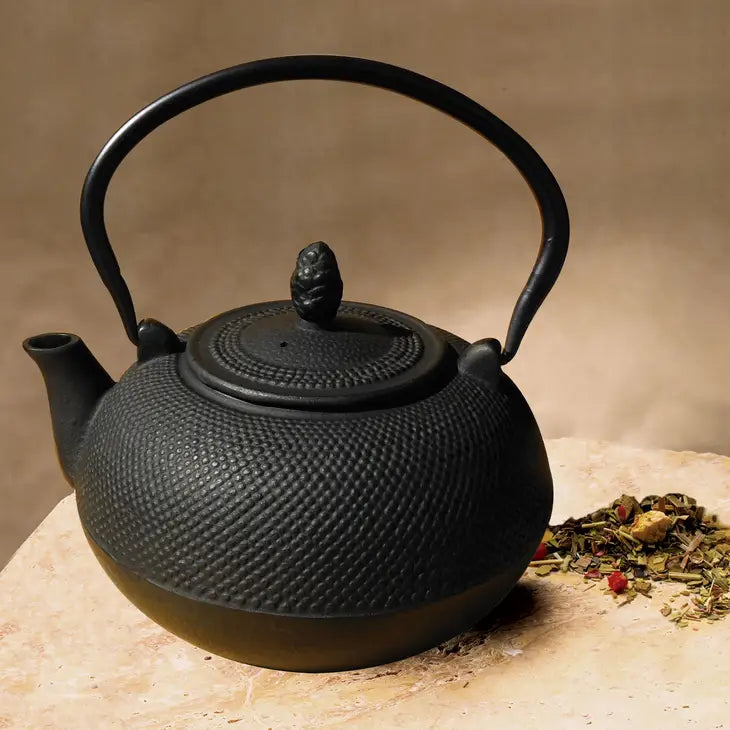 Cast Iron Teapot + Wood Stove Humidifier