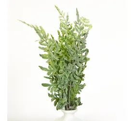 Large Faux Coriander Leaf Bush
