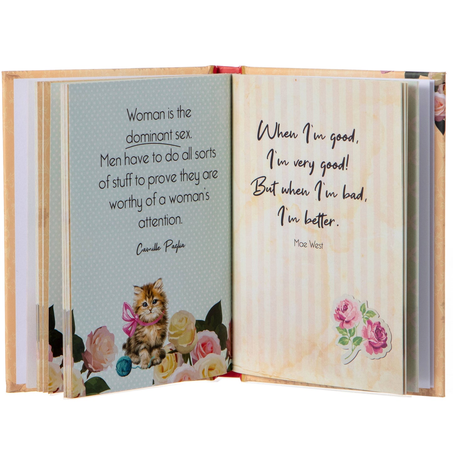 Pussy Power Empowering Book