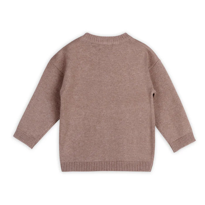 Tiger Kangaroo Pocket Knit Pullover & Pant Set