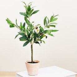 Faux Olive Tree in Pot