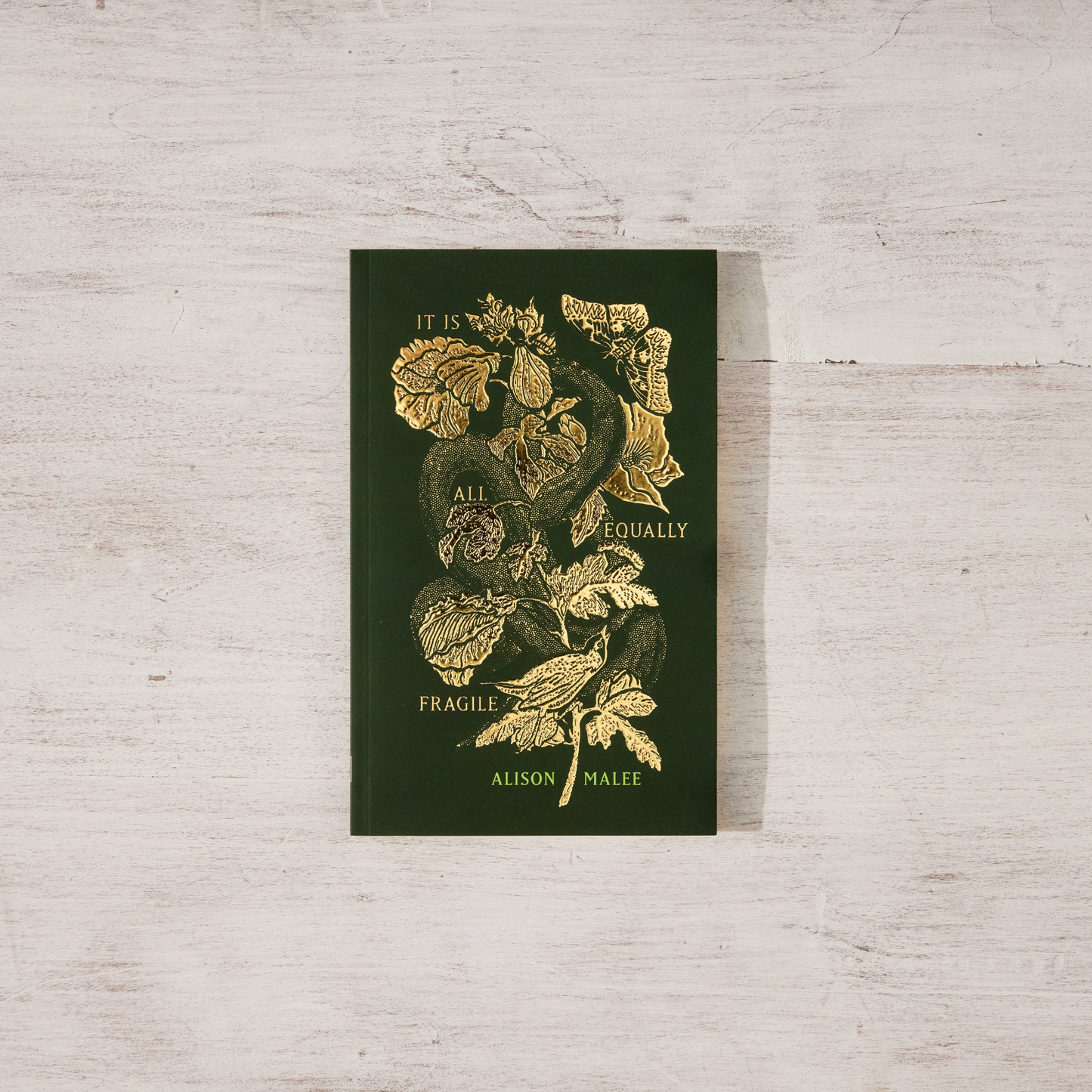 It Is All Equally Fragile