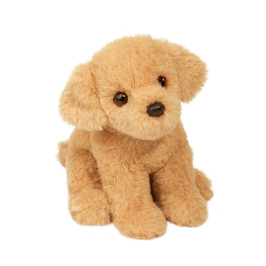 Mini Goldi Golden Retriever
