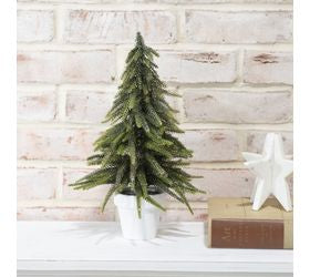 Gold Dusted Tree in a Pot