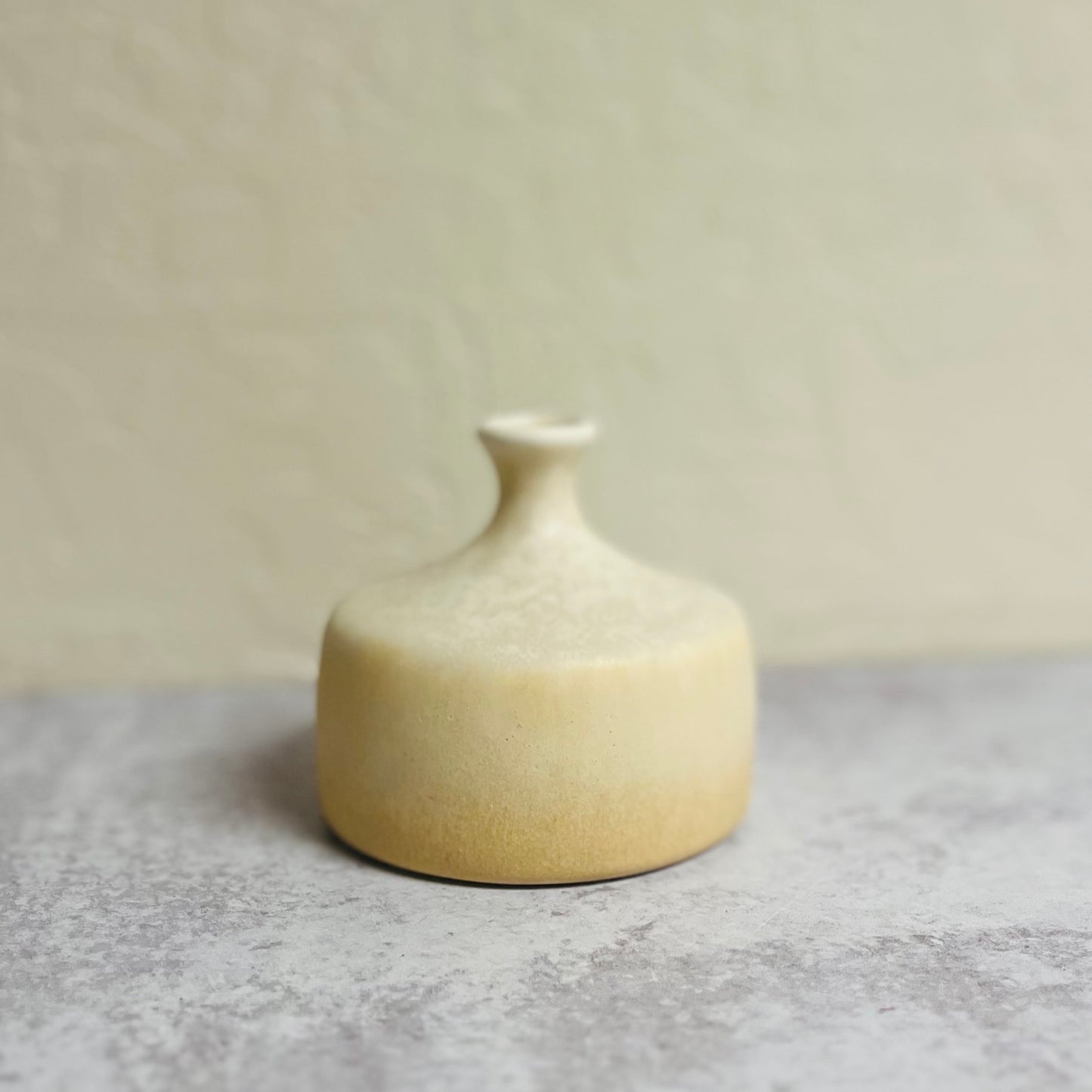 Neutral Petite Décor Vases