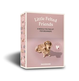 Little Felted Friends: Needle Felting Kits