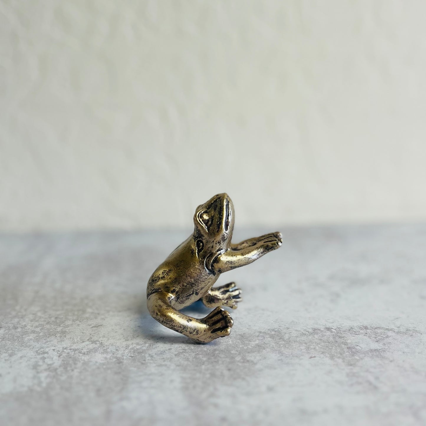 Resin Frog Pot Hangers