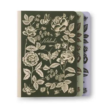 Assorted Notebooks Set