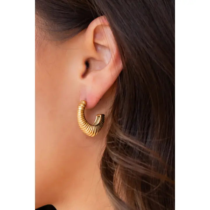 Earrings by Panache Clothing Co.