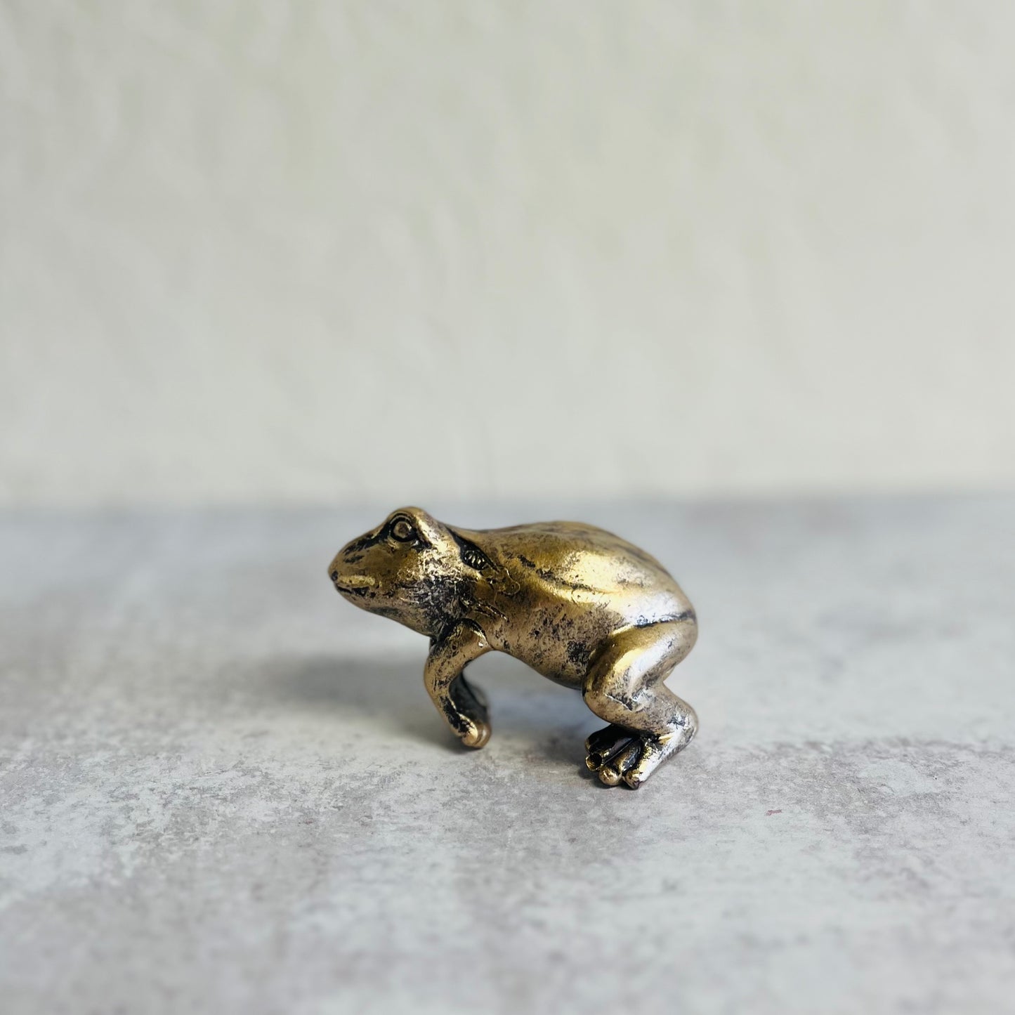 Resin Frog Pot Hangers