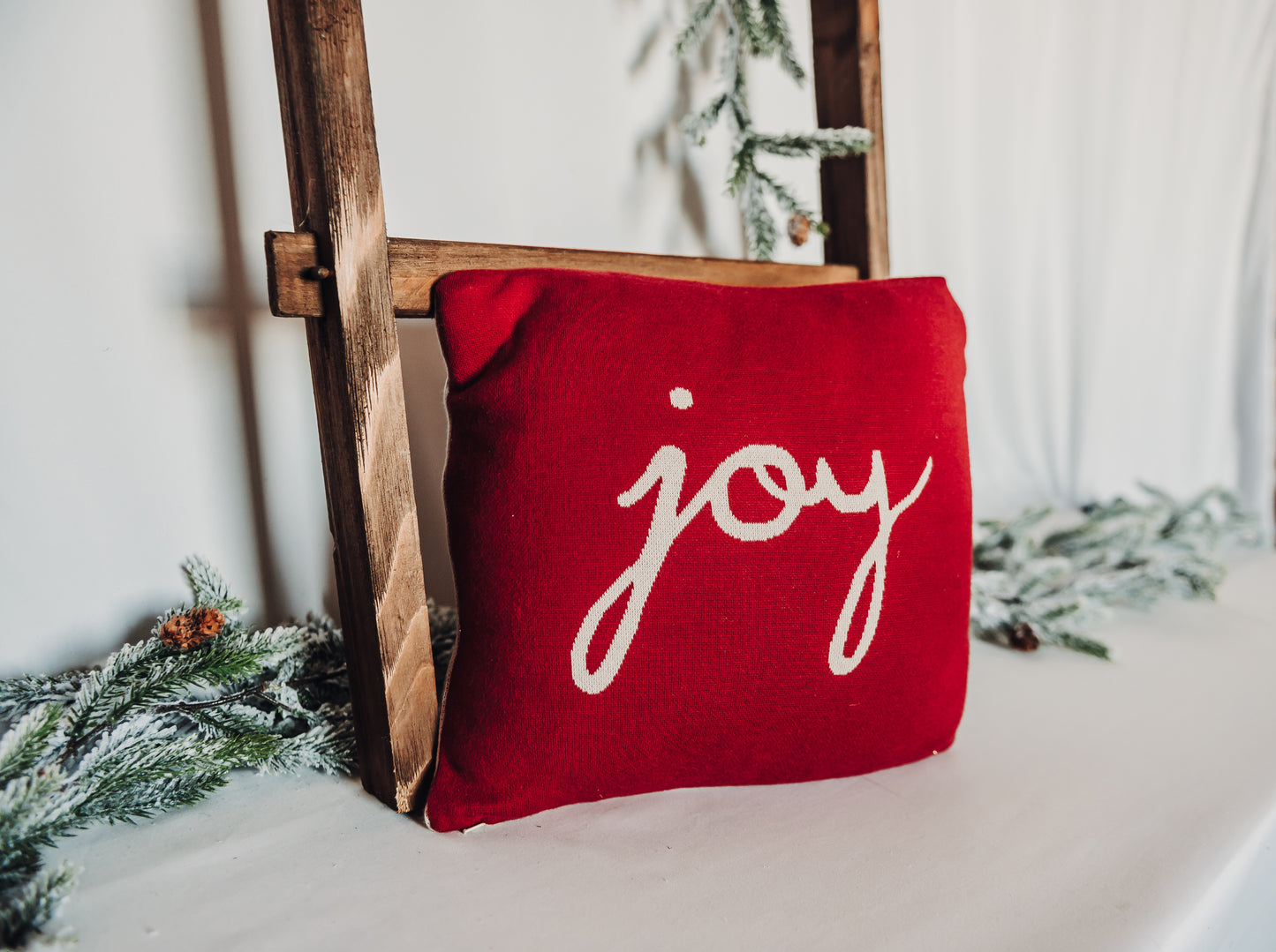 Two-Sided Joy Pillow