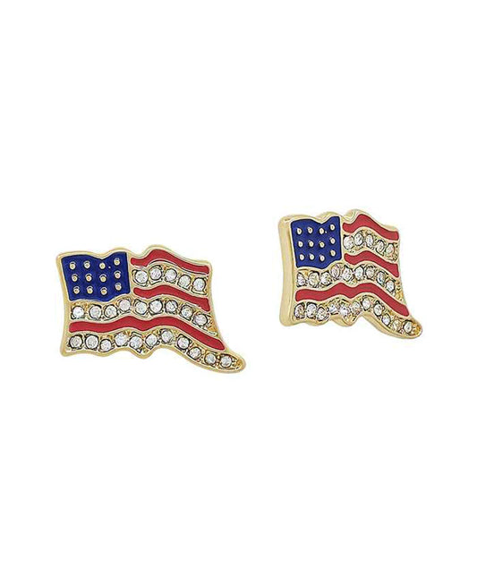 Patriotic Earrings