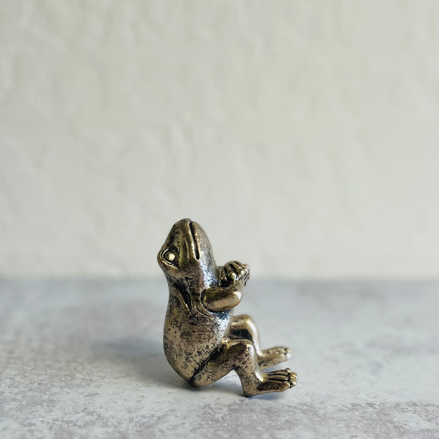 Resin Frog Pot Hangers