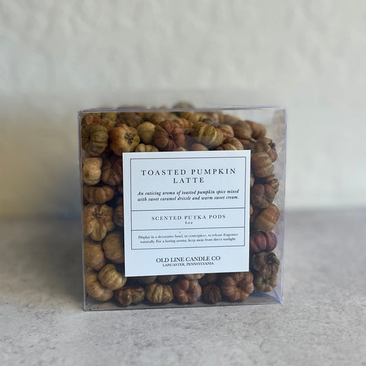 Toasted Pumpkin Latte - Scented Putka Pods