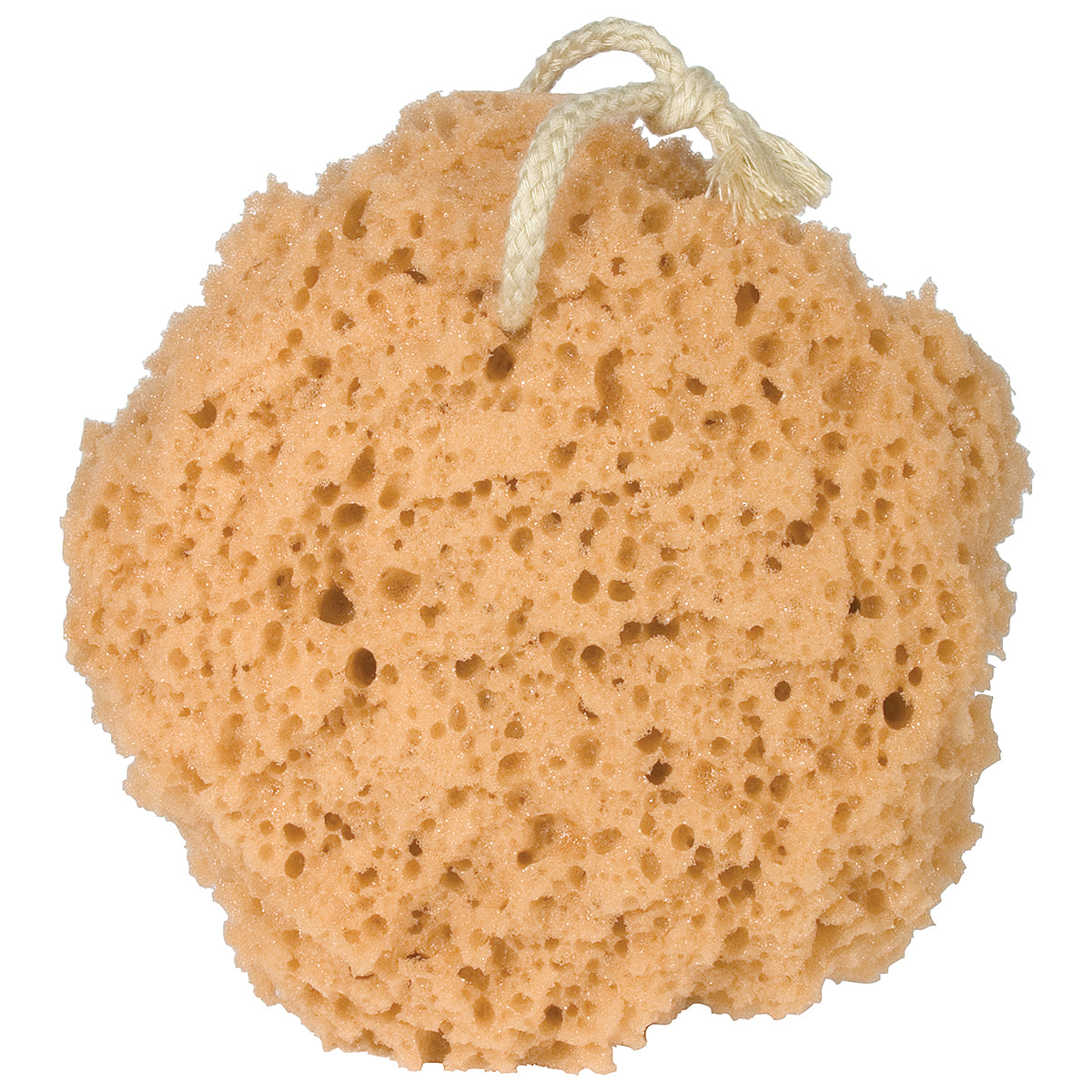 Bath Sponge