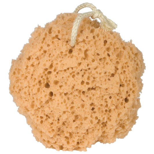 Bath Sponge
