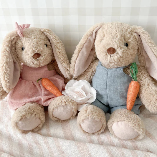 Plush Bunnies in Clothes