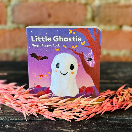 Halloween Finger Puppet Books