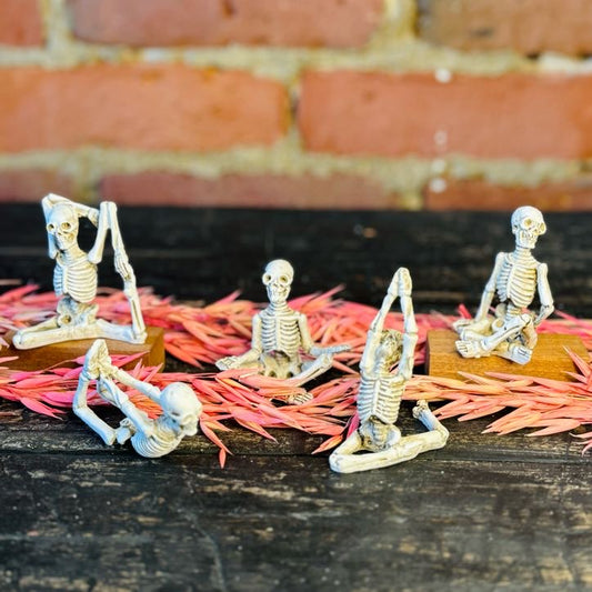 Yoga Skeletons