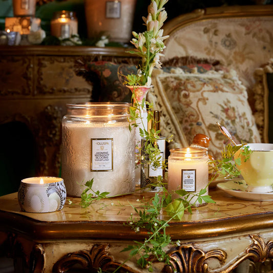Jasmine Midnight Blooms Jar Candles