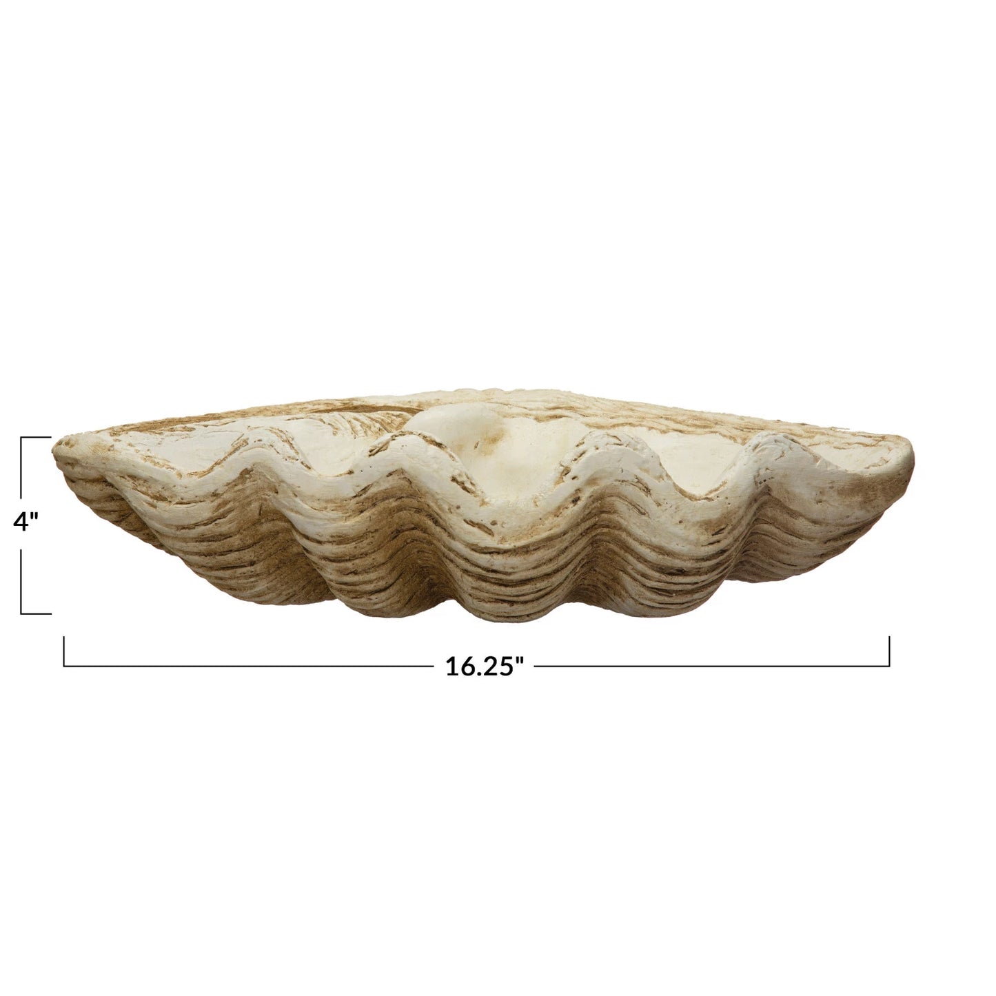Magnesia Clamshell Décor - IN STORE ONLY