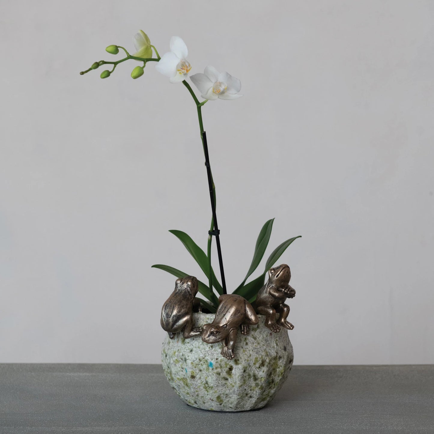 Resin Frog Pot Hangers