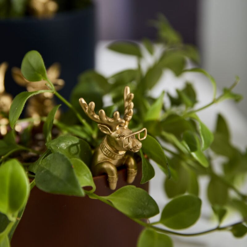 Animals w/ Glasses Plant Huggers