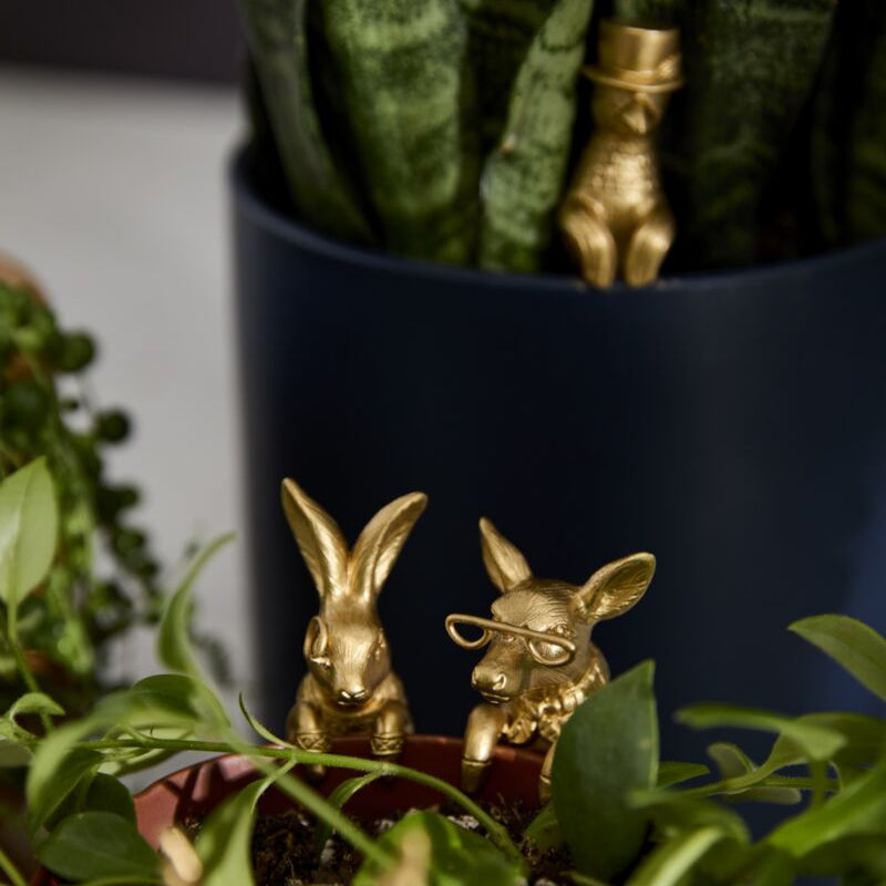 Animals w/ Glasses Plant Huggers