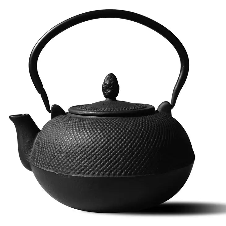 Cast Iron Teapot + Wood Stove Humidifier