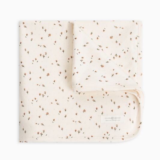 Organic Cotton Baby Blanket