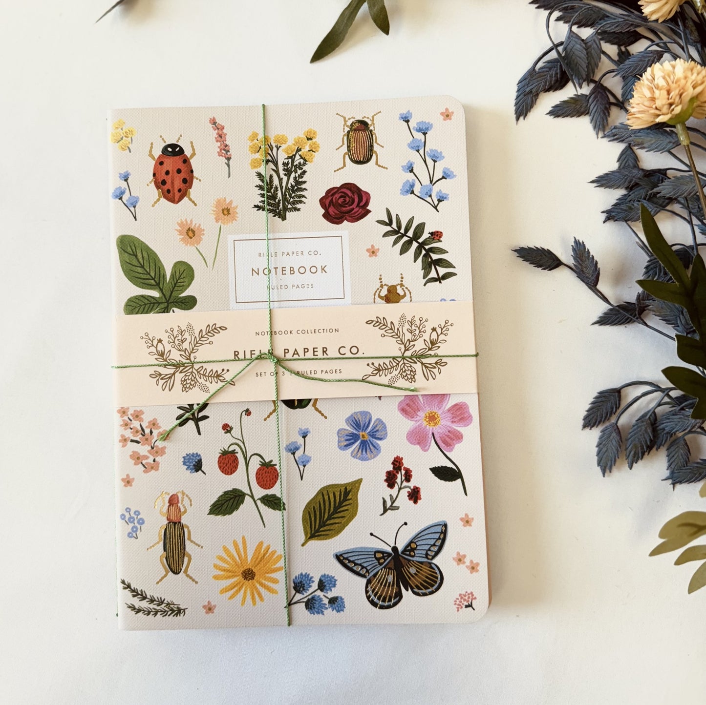 Assorted Notebooks Set