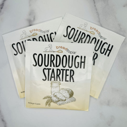 Sourdough Starter