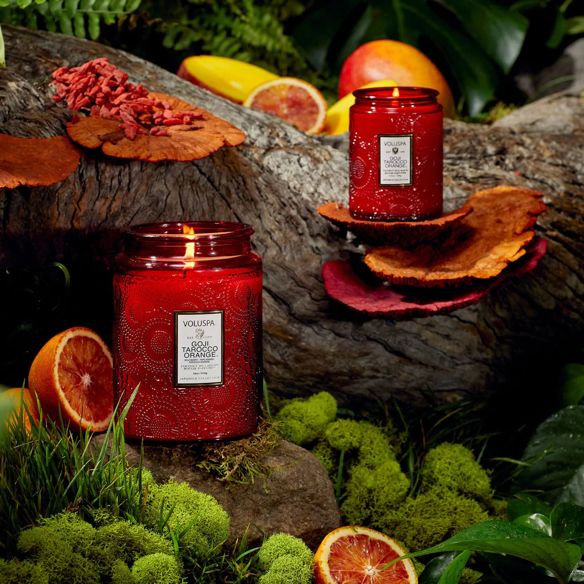 Goji Tarocco Orange Jar Candles