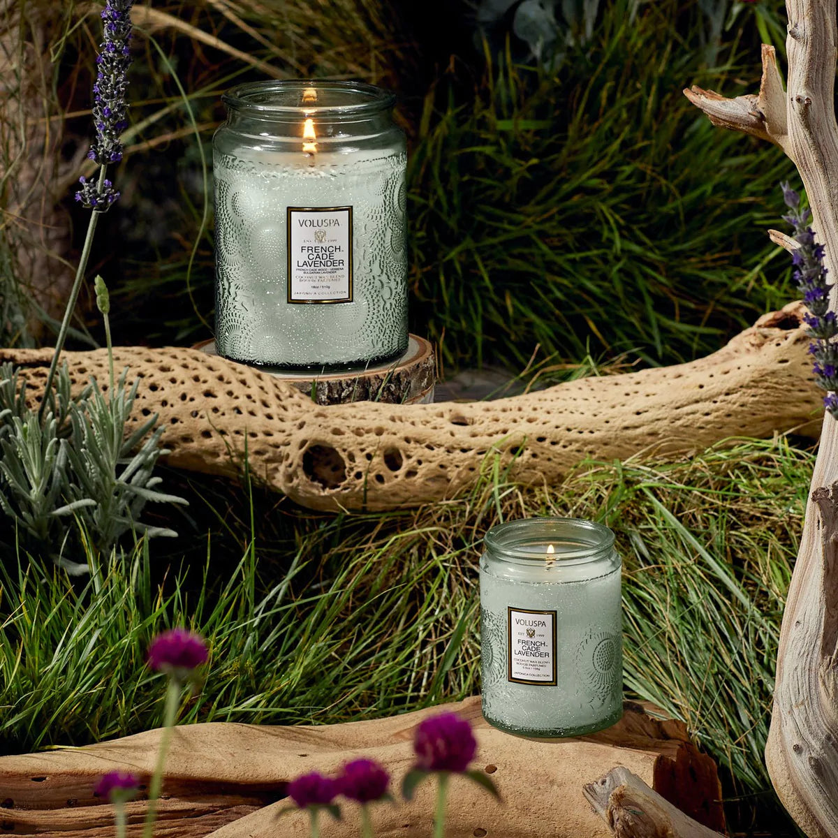 French Cade Lavender Jar Candles